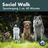 Hunde verschiedener Rassen