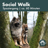 Hunde bei einem Baum