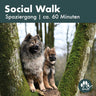 Hunde bei einem Baum